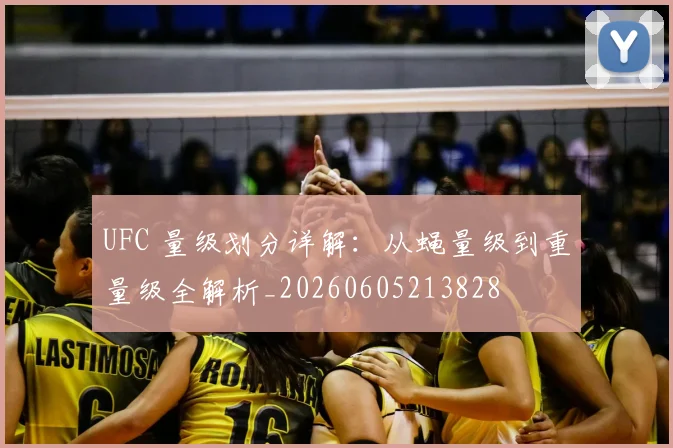 UFC 量级划分详解：从蝇量级到重量级全解析_20260605213828