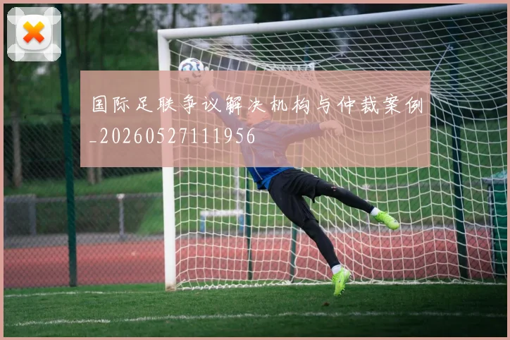 国际足联争议解决机构与仲裁案例_20260527111956