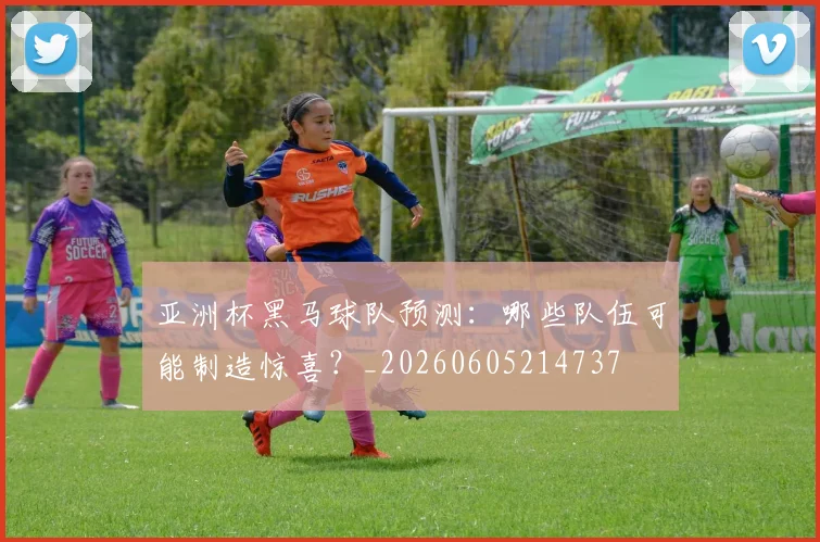 亚洲杯黑马球队预测:哪些队伍可能制造惊喜?_20260605214737